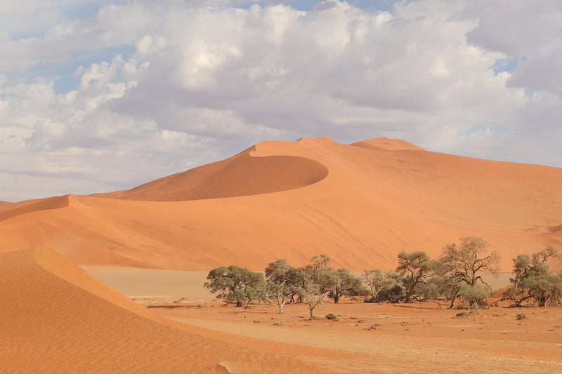 Namib Desert, Namibia